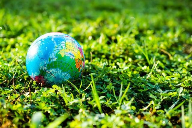 Sustainability in Golf: 5 Eco-Friendly Practices - inPhorm NYC