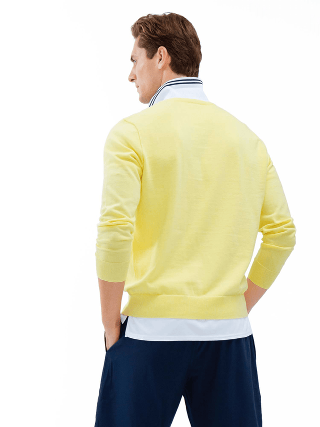 Classic V Neck Sweater - Lemonade Men - inPhorm NYCLemonade